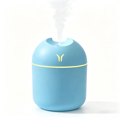 Home Mini Aromatherapy