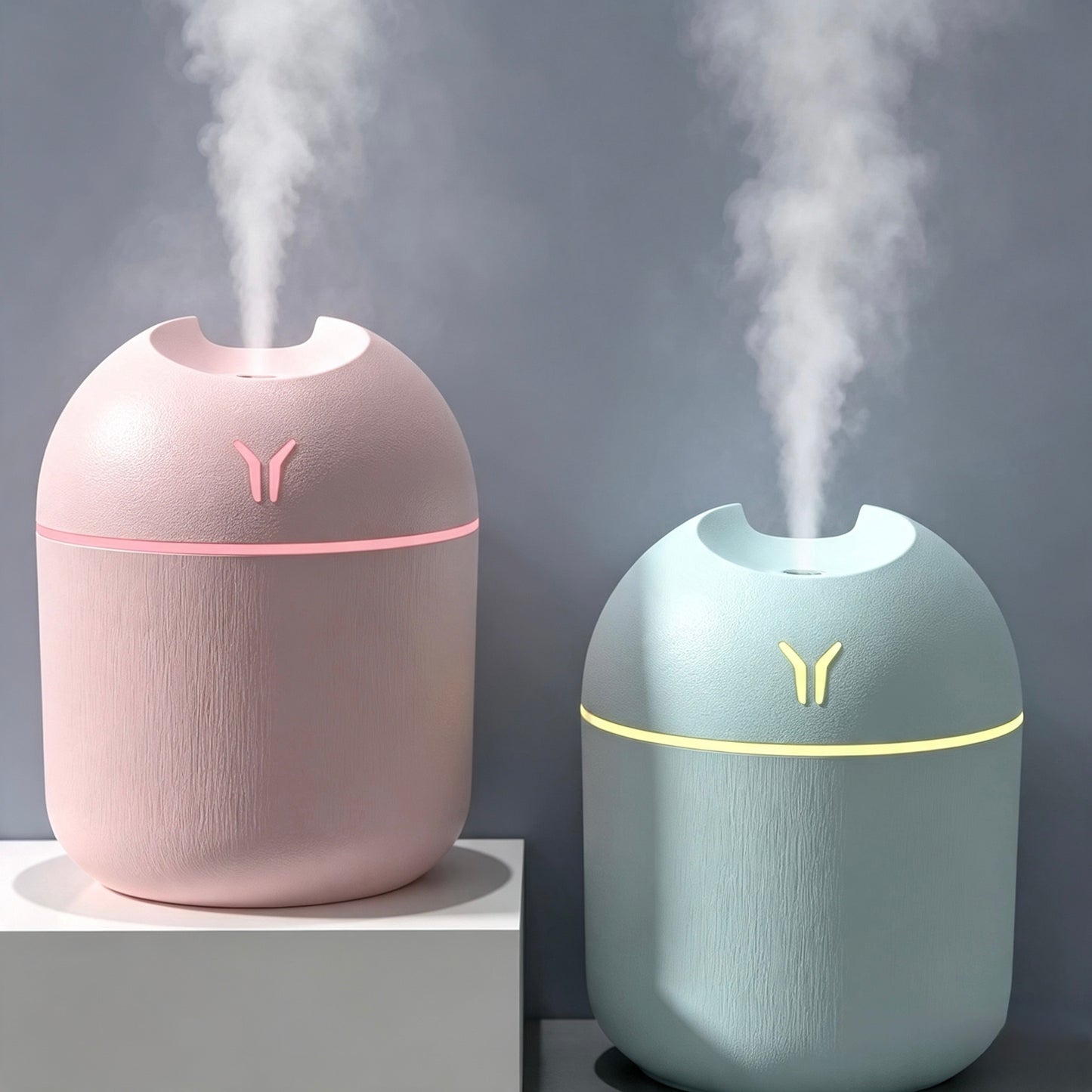 Home Mini Aromatherapy